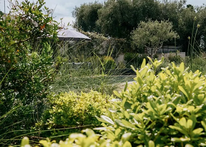 Villa Prestigieuse De Cremat *